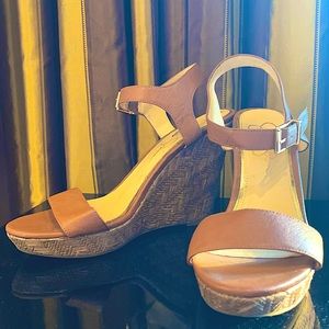 Light brown color wedges